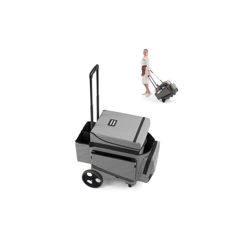 Carro Mobility
