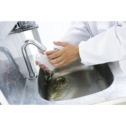 Brosse Mains Et Ongles Grande