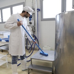 Deck Scrub 30 cm I. A.